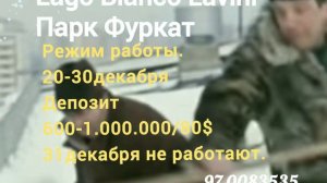 Где отметить новый год!🎄💃 Ташкент, цены на 21ресторан.🎁🤝🎄