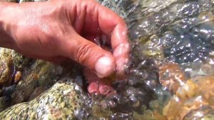 12 Помою золото в речке и посмотрю 4