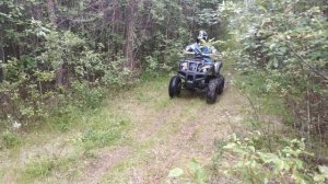 Motoland Adventure 250