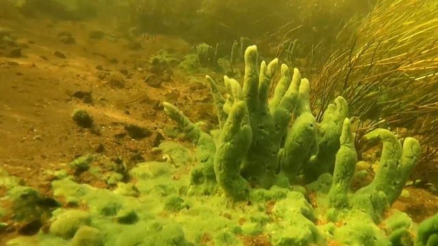 Тучково Москва река до Москвы смотреть онлайн