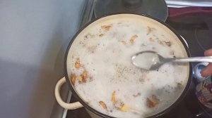 ВАРКА ЛИСИЧЕК ПЕРЕД ЗАМОРОЗКОЙ!