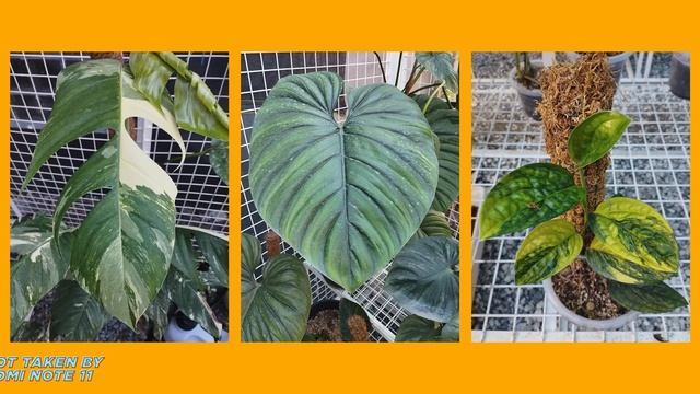 Xiaomi Redmi Note 11 Hands-On — Almost perfect budget phone? смотреть онлайн