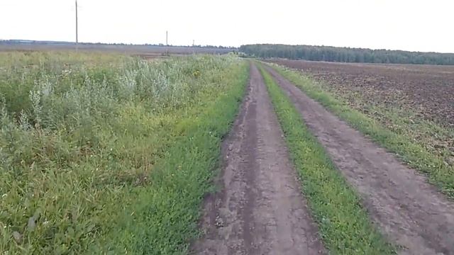 Самая высокая точка Тульской области - общий вид горы Раёво - панорама 1 - 4 ч из 8