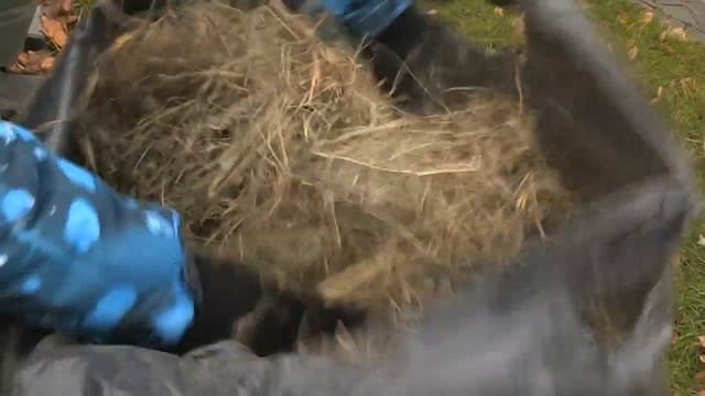 Храним морковь в грядке смотреть онлайн