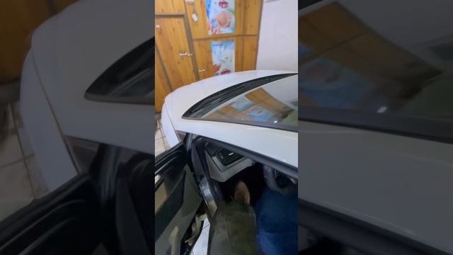 Установка автосигнализации Pandora DX 40 rs смотреть онлайн