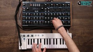 Novation Peak Presets Demo With Some Filter And Effect Tweaking
