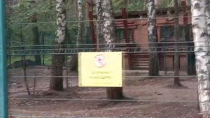 Экскурсия в Белгородский зоопарк 10 сентября 2022 года