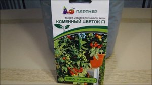 Шесть сортов и гибридов комнатных томатов!