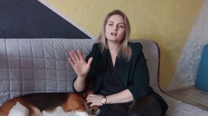 Бигль Jastin.  Работа над ошибками. 10 ошибок - которые может допустить владелец в воспитании бигля