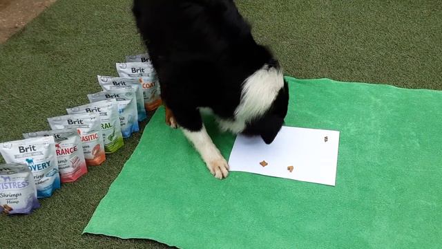 тестируем новые функциональные лакомства Брит смотреть онлайн