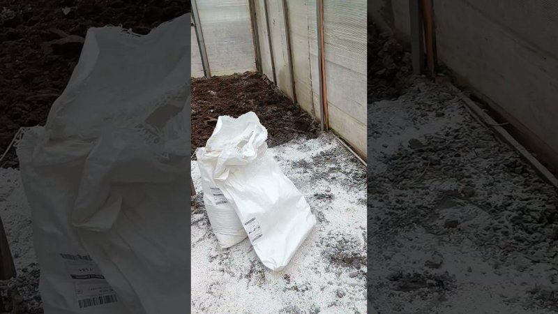 Подготовка и внесение перлита в почву для выращивания огромной тыквы... Огород.