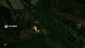 Прохождение Shadow of the Tomb Raider - Глаз змеи: Открыть первую и вторую дверь в сеноте #19