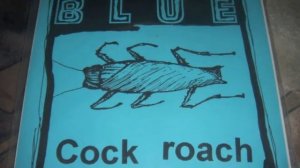 Blue -  Gloryhole