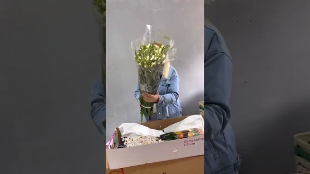 Распаковка аукционной коробки 04.09.2021 смотреть онлайн