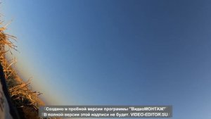 Охота на гуся и утку в Казахстане