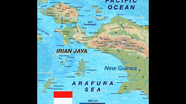 Гвинея! / Guinea! смотреть онлайн