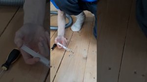 Жук короед, последствия, устранение.