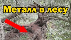 Вместо золота металл я активно собирал! Попутный металлокоп