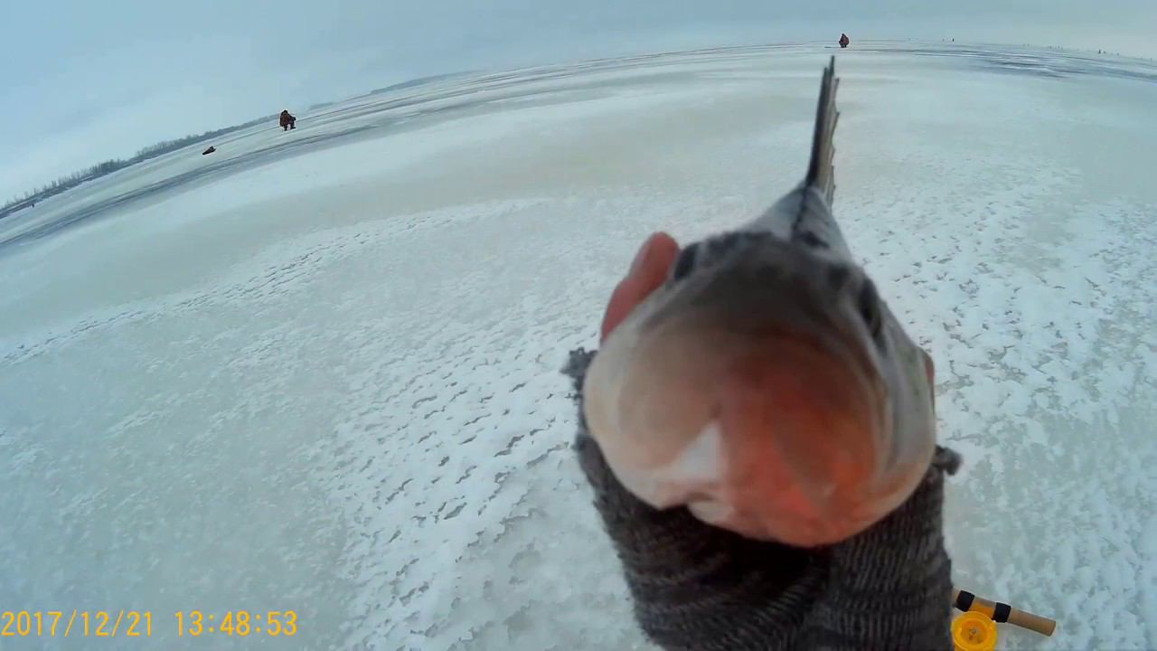 ЛОВЛЯ ОКУНЯ ЗИМОЙ!ЛОВЛЯ ОКУНЯ НА БЛЕСНУ! смотреть онлайн