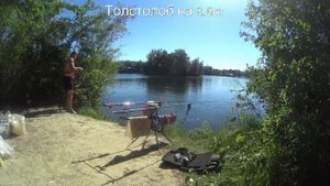 Толстолоб