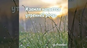 MovaviClips_Video_20230922-232623.mp4