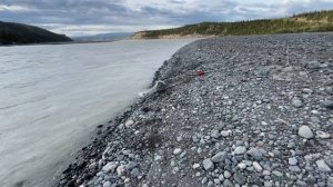 Рыбалка на Аляске ловля ЛОСОСЯ река ( CHITINA)