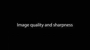 Nikon Z MC 105mm f/2.8 VR S lens Review for macro photography