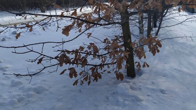 ДЕНЬ ПЕТРА 29 января.Замкните домашний очаг.НЕ говорите ОБ ЭТОМ никому.Поверья старины смотреть онлайн