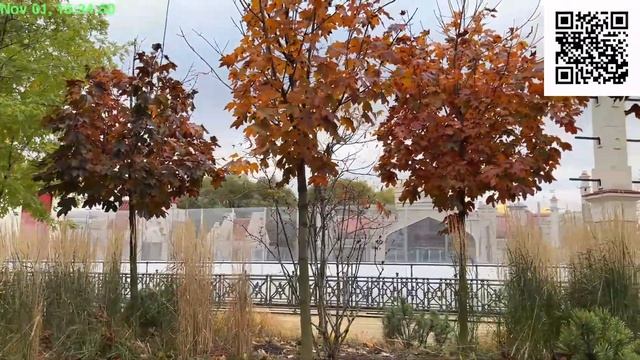 Прогулка по парку в Гольяново