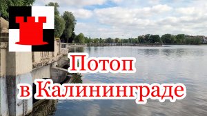 Потоп в Калининграде и другие новости