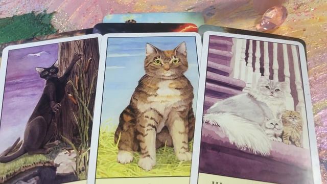 Послание Планеты Венера🌌✨💗✨🌌🎆✨✨💖✨Таро. Продолжение. ЧАСТЬ 3. смотреть онлайн