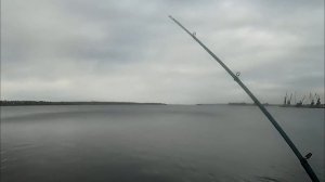 Сазан на старые снасти. Макушатник.
