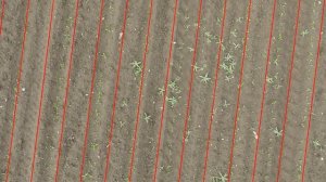 Automatic crop row location in UAV images