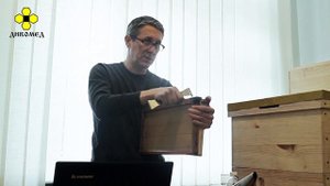 Основы пчеловодства. Урок 3: промышленное пчеловодство, часть II