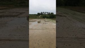 Работа в Южной Кореи.Рис.Посадка риса.Арбайт