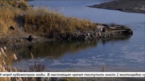 КУДА УШЛА ВОДА НА РЕКЕ СЫРДАРЬЯ?