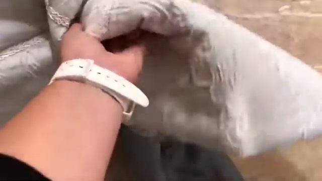 Pepper home Шикарное покрывало с наволочками и подушечками. смотреть онлайн