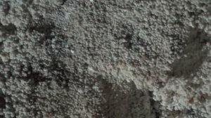 Новоафонские пещеры