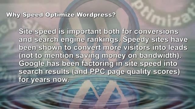 Wordpress Performance Optimization | WebsiteOptimization.com