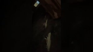 Как правильно растопить русскую печь??? угар!!!