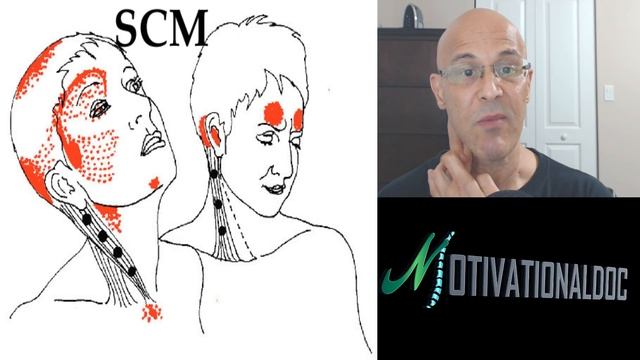 Neck Pain Gone in Seconds (Self-Help Myofascial Trigger Point Correction) - Dr Alan Mandell, DC смотреть онлайн
