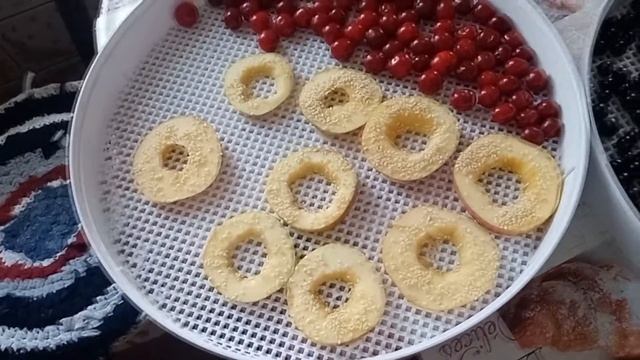 Сушка овощей и фруктов в сушилке - вкусно и полезно -
