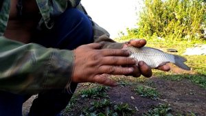 Рыбалка на Аксаровском (Юшатырском) водохранилище