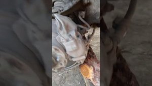 Прокручивается палец шаровой опоры вместе с гайкой. Простое решение!
