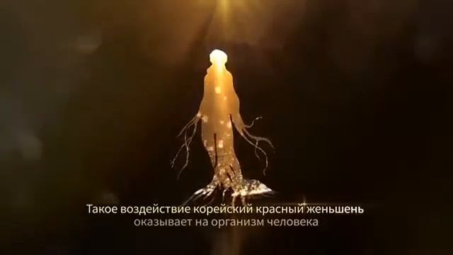 Корейский красный Женьшень от компании Атоми/Atomy.
