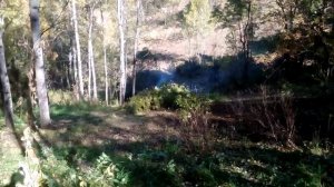 ТДТ 55.Заготовка леса в Тургусуне.