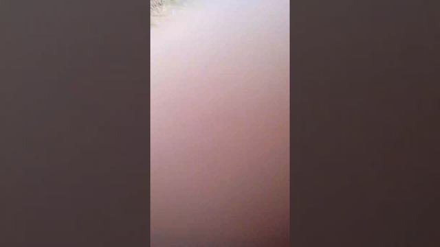 Пожар на промке 2 смотреть онлайн