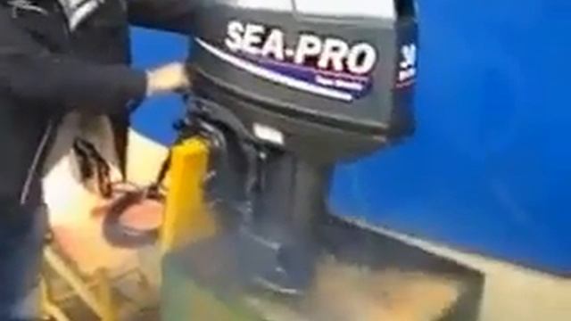 SEA PRO T 30S&E (Yamaha 30) - Sea-Pro-Motors.ru смотреть онлайн