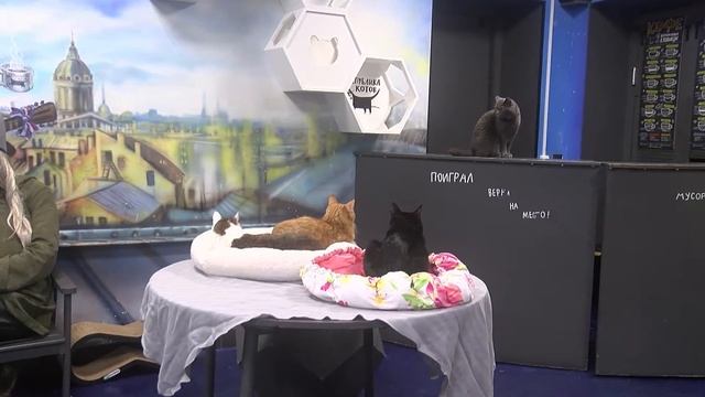Скандинавские сказки. Вечер с волшебным домовым