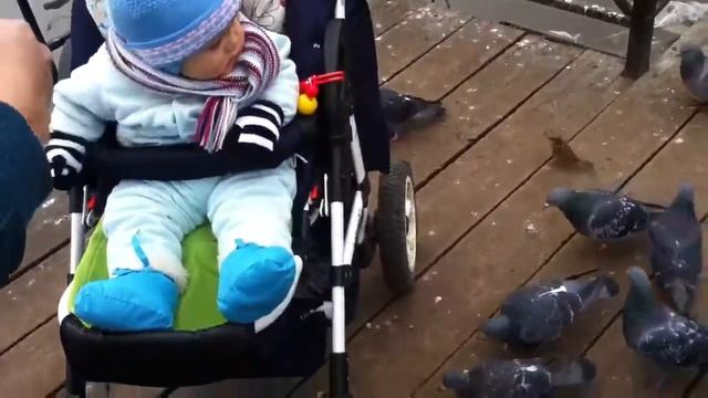 На озере возле дома где много птичек)) смотреть онлайн